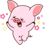 Cutie Pig
