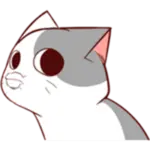 Pus Nyangami